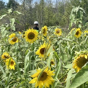 Fundraising Page: Vance Ricks